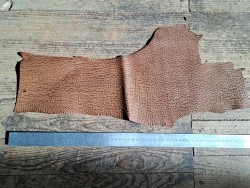 Morceau de cuir de requin - Brun tabac - Cuir en Stock