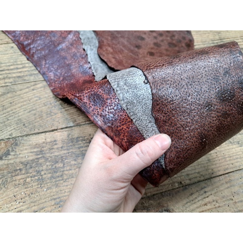 Lot de peaux uniques Loup de Mer D Cuir en Stock - Main Image