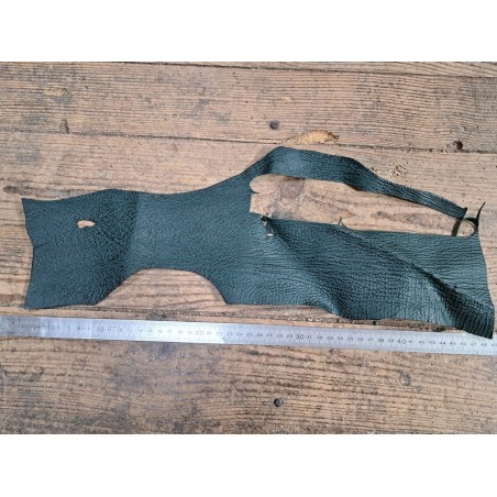 Morceau de peau de cuir de requin - vert forêt - accessoires - cuir en stock