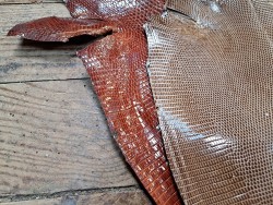 Lot de 2 peaux de cuir de lézard - Noisette/Auburn- cuirenstock