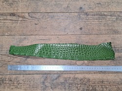 Peau de crocodile véritable - Vert kaki - Cuir en Stock
