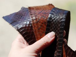 cuir de serpent véritable chutes pour maroquinerie bracelet montre Cuirenstock