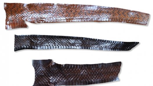 morceaux peau de serpent marron brun luxe cuirenstock