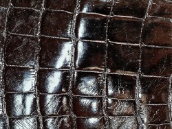 Cuir de crocodile - queue noir satiné - Cuir en Stock