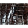 Cuir de crocodile - queue noir satiné - Cuir en Stock