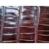 Cuir de crocodile - queue marron satiné