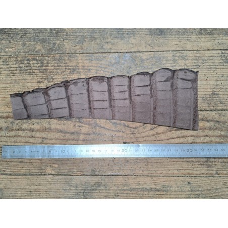 Cuir de crocodile - queue marron satiné