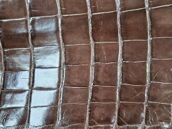 Queue de crocodile - Brun cacao - Cuir en Stock