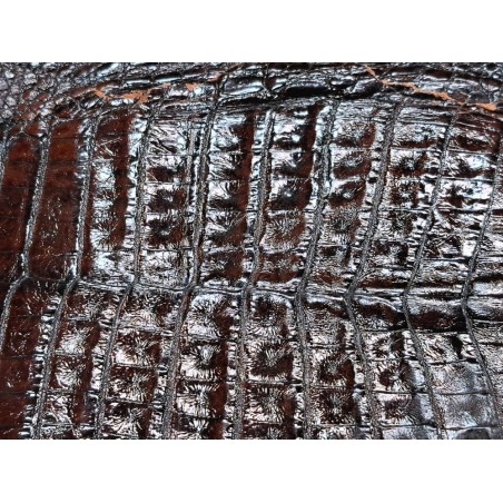 Peau de cuir de crocodile véritable - Marron - Cuir en Stock