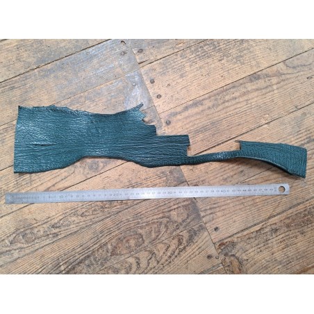 Morceau de peau de cuir de requin - Vert forêt - Cuir en Stock