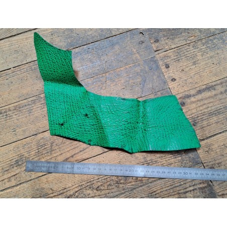 Morceau de cuir de requin - Vert menthe - maroquinerie - Cuir en Stock