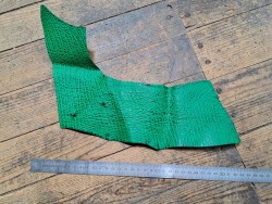 Morceau de cuir de requin - Vert menthe - maroquinerie - Cuir en Stock