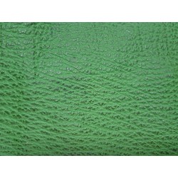 Morceau de cuir de requin - Vert menthe - maroquinerie - Cuir en Stock