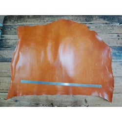 Collet de vache tannage végétal lisse - Fauve - Cuir en Stock