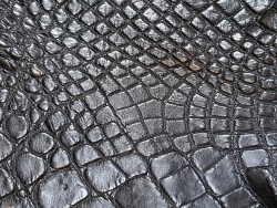 morceau de cuir de crocodile - noir mat - cuirenstock