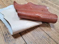 Lot de 2 pattes d'autruche - E -Brun clair/Crème- Cuir en Stock