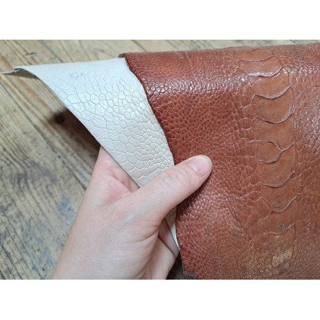 Lot de 2 pattes d'autruche - E -Brun clair/Crème- Cuir en Stock