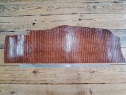 Bande de collet tannage végétal effet crocodile - Noisette