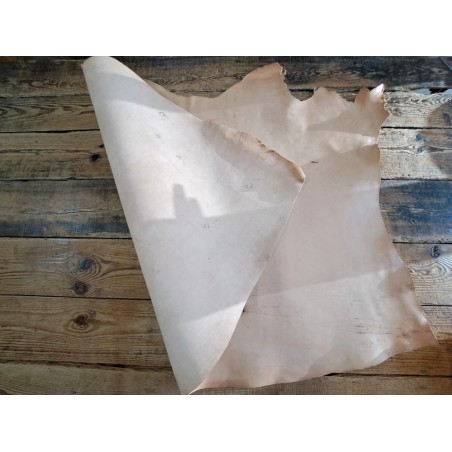 Collet de cuir de vache naturel – Tannage végétal 2ᵉ choix