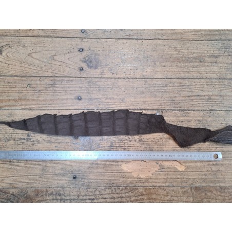 Peau de cuir de crocodile marron mat - Cuir en Stock