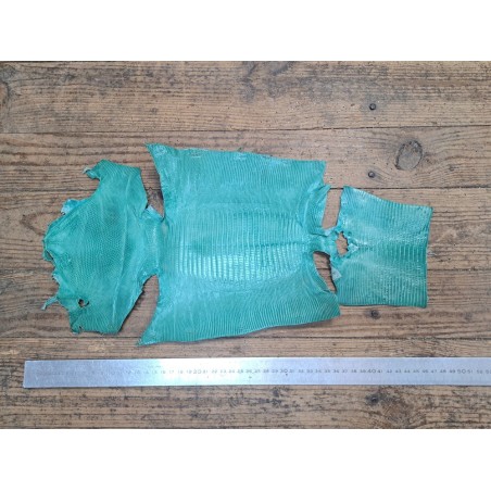 Lot de 2 peaux de cuir de lézard - C - Turquoise/Bleu marine