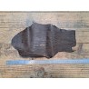 Morceau de cuir de requin - marron - Cuir en Stock