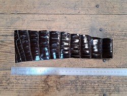 Cuir de crocodile - queue marron satiné