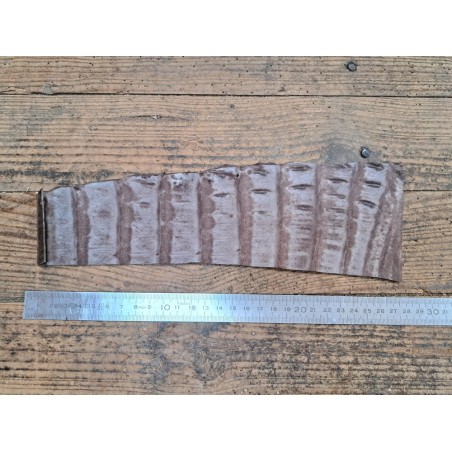 Cuir de crocodile - queue marron satiné