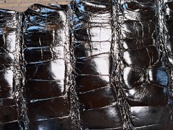 Peau de crocodile véritable - Noir - Cuir en Stock