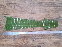 Cuir de crocodile - queue - Vert kaki - Cuir en Stock
