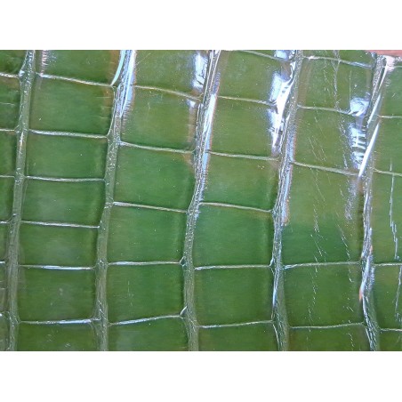 Cuir de crocodile véritable - kaki - bijoux ou accessoire - Cuir en stock