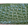Peau de crocodile véritable - Vert kaki - Cuir en Stock