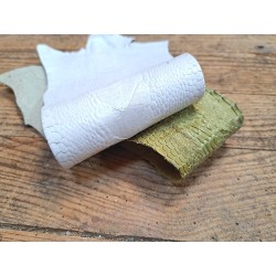 Lot de 2 pattes d'autruche - F - Blanc/Vert - Cuir en Stock
