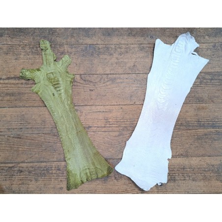 Lot de 2 pattes d'autruche - F - Blanc/Vert - Cuir en Stock