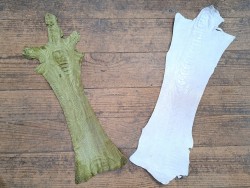 Lot de 2 pattes d'autruche - F - Blanc/Vert - Cuir en Stock