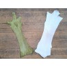 Lot de 2 pattes d'autruche - F - Blanc/Vert - Cuir en Stock