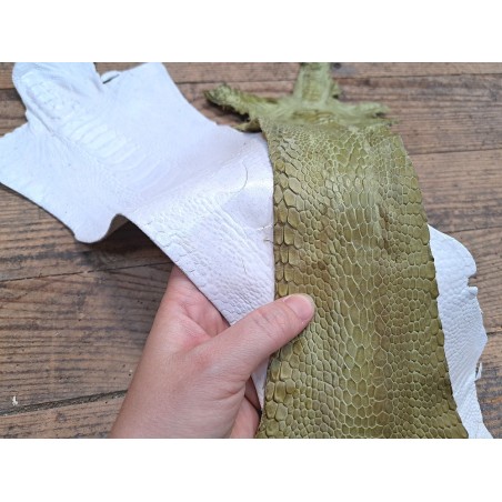 Lot de 2 pattes d'autruche - F - Blanc/Vert - Cuir en Stock