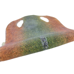 Peau de galuchat - perle centrale - cuir exotique - bicolor - Cuir en Stock