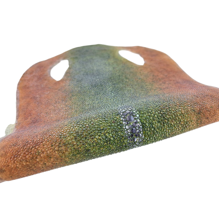 Peau de galuchat - perle centrale - cuir exotique - bicolor - Cuir en Stock