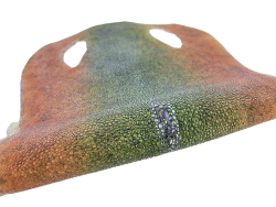 Peau de galuchat - perle centrale - cuir exotique - bicolor - Cuir en Stock