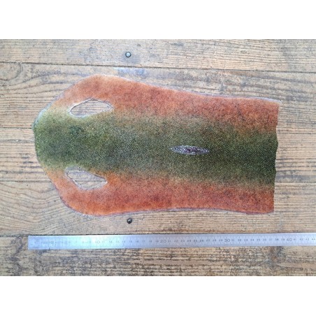 Peau de galuchat - perle centrale - cuir exotique - bicolor - Cuir en stock