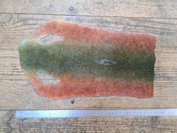 Peau de galuchat - perle centrale - cuir exotique - bicolor - Cuir en stock