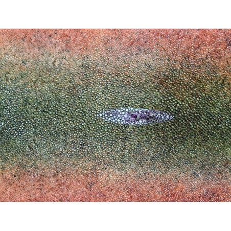 Peau de galuchat - perle centrale - cuir exotique - bicolor - Cuir en Stock