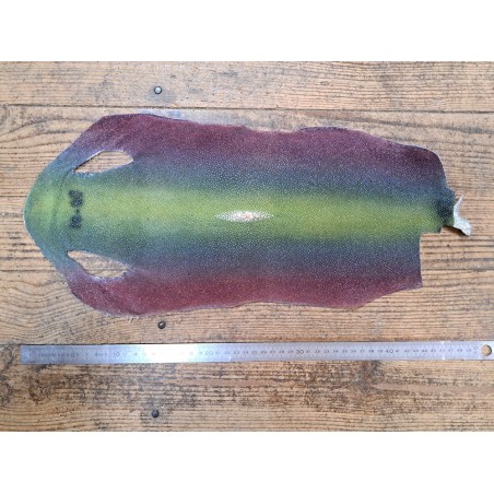 Peau de galuchat - perle centrale - cuir exotique - arc en ciel - Cuir en stock