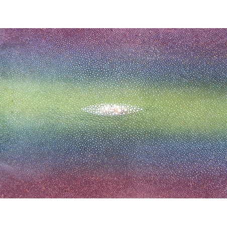 Peau de galuchat - perle centrale - cuir exotique - arc en ciel - Cuir en Stock