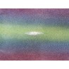 Peau de galuchat - perle centrale - cuir exotique - arc en ciel - Cuir en Stock
