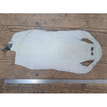 Peau de galuchat - perle centrale - cuir exotique - arc en ciel - Cuirenstock