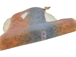 Peau de galuchat - perle centrale - cuir exotique - bicolor - Cuir en Stock