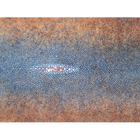 Peau de galuchat - perle centrale - cuir exotique - bicolor - Cuirenstock