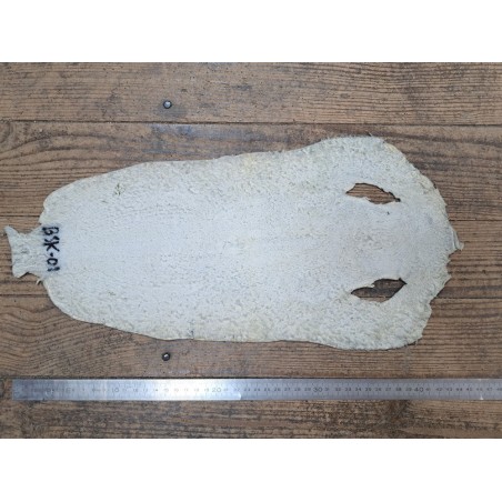 Peau de galuchat - perle centrale - cuir exotique - fleuri bleu/vert - Cuir en Stock